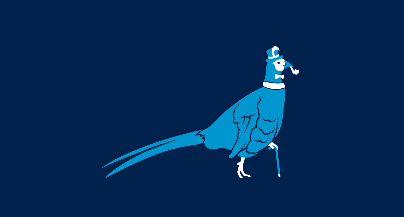 A fancy pants pheasant, dressed to the nines and ready for a night out on the town